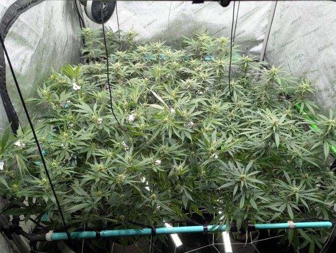 More.... Week 3 - D21