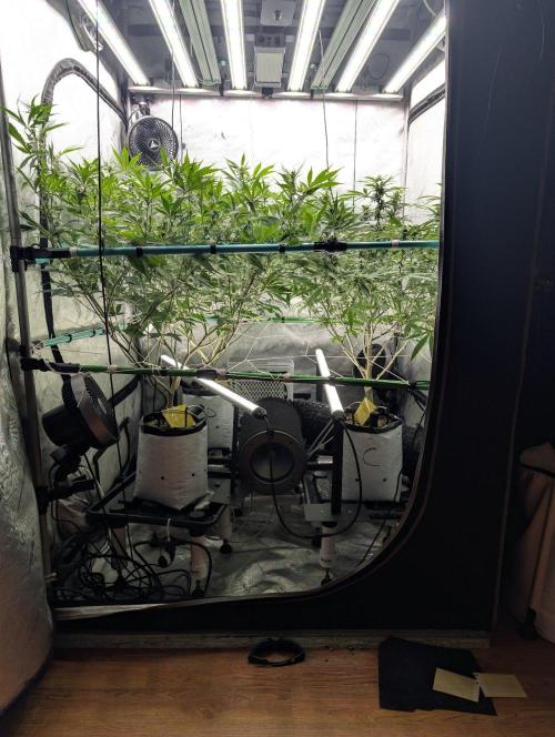 More.... Week 3 - D21