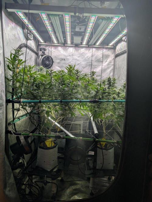 More.... Week 4 - D28