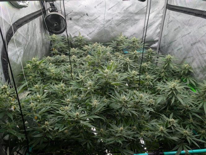 More.... Week 4 - D28