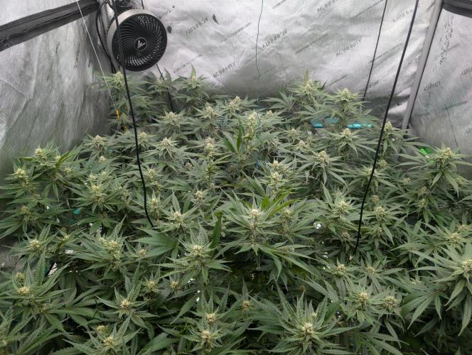 More.... Week 4 - D28