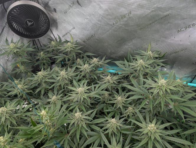 More.... Week 4 - D28