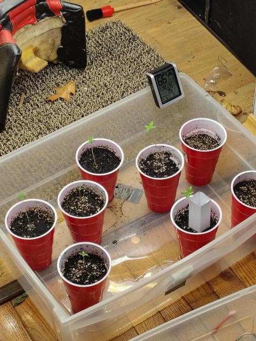 3 outdoors, mutant auto included!. Week 0