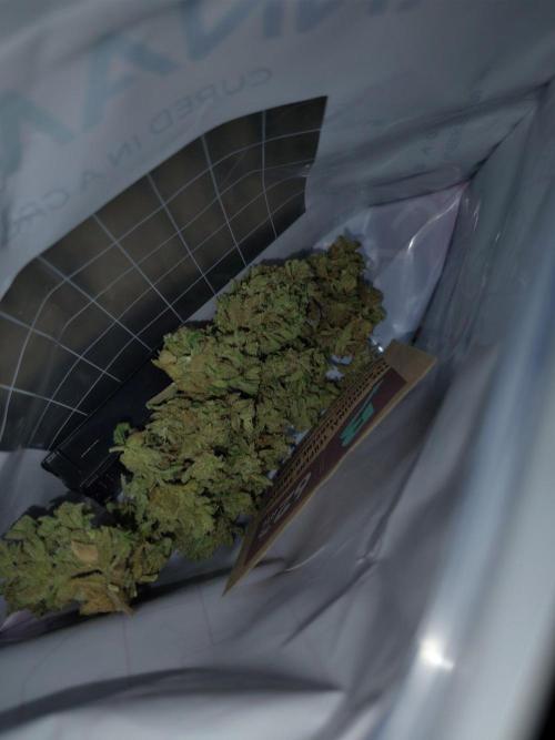 Out to indoor autoflower mutant!. Week 14 - 14 grams survived