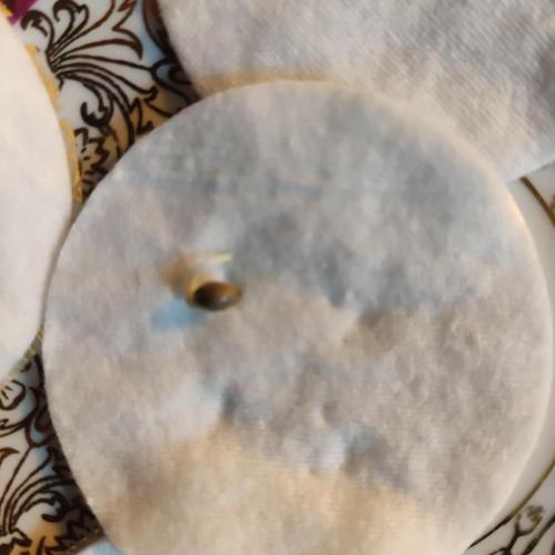 Lepkavá brokolice. Week 0