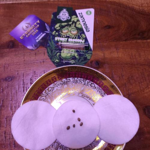 Lepkavá brokolice. Week 0