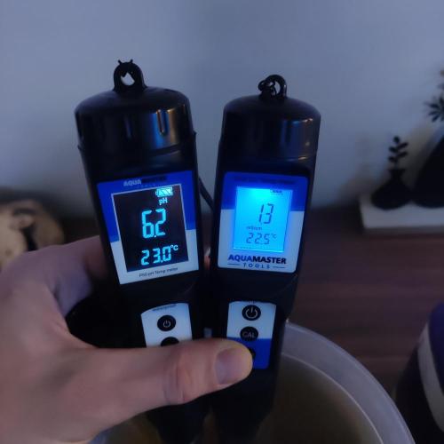 Lepkavá brokolice. Week 4