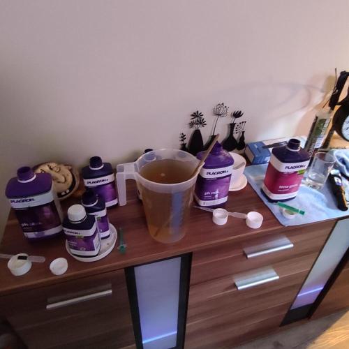 Lepkavá brokolice. Week 4