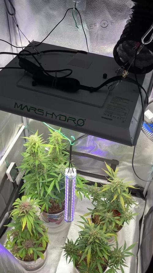 🍒🥤🍌🍆🥊🍑🧐👰‍♀️