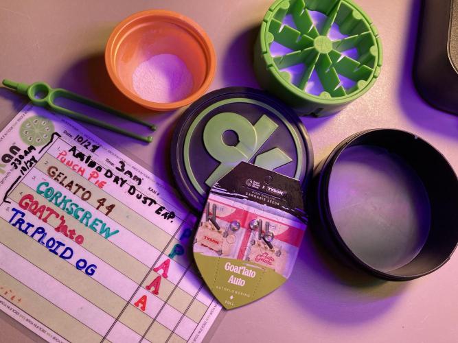 🥊🥧🍧🐐☕️🐓🔩🍌. Week 0 - 10/28 330am