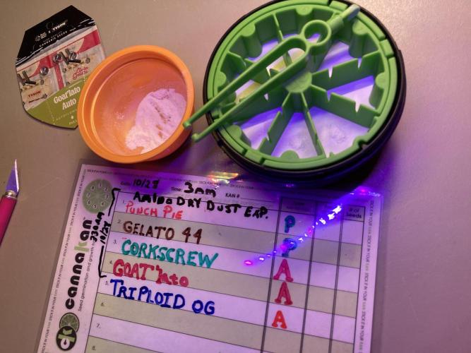 🥊🥧🍧🐐☕️🐓🔩🍌. Week 0