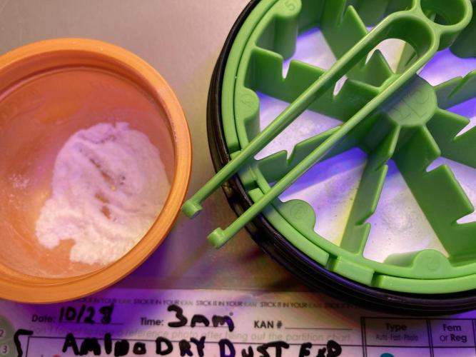 🥊🥧🍧🐐☕️🐓🔩🍌. Week 0