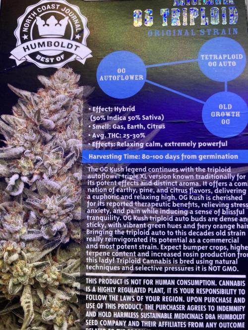 🥊🥧🍧🐐☕️🐓🔩🍌. Week 0 - 4AM FINISHED