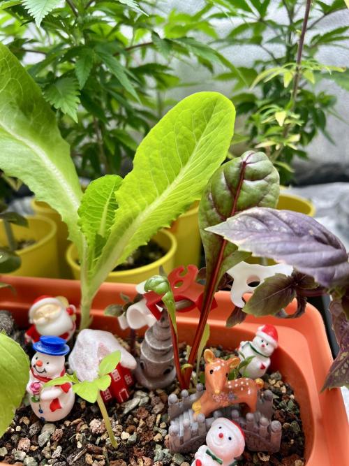 🎃🧛‍♂️😈💀🎃. Week 8 - 11/1 2pm 