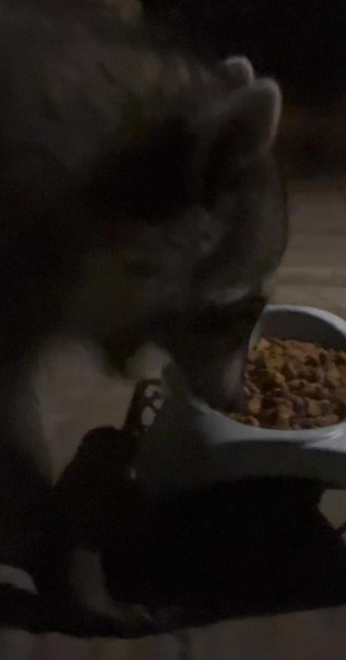 🎃🧛‍♂️😈💀🎃. Week 9 - HUGS AND KISSES!!!!