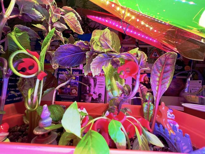 🎃🧛‍♂️😈💀🎃. Week 10 - 11/13