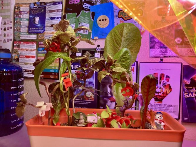 🎃🧛‍♂️😈💀🎃. Week 10 - 11/14 4am