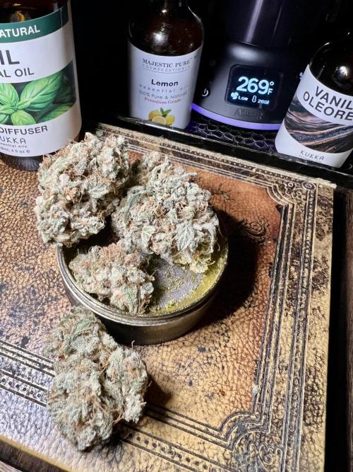 🍓🍰🤨🌿🍑🍪🍎. Week 24 - 11/16 2:15 PM cookie apple👍👍