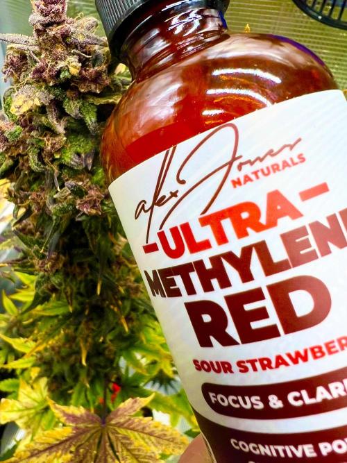 🎃🧛‍♂️😈💀🎃. Week 11 - 11/18 12:49 PM I have an idea