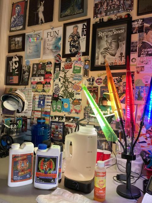 🎃🧛‍♂️😈💀🎃. Week 11 - 11/21 12:32 PM