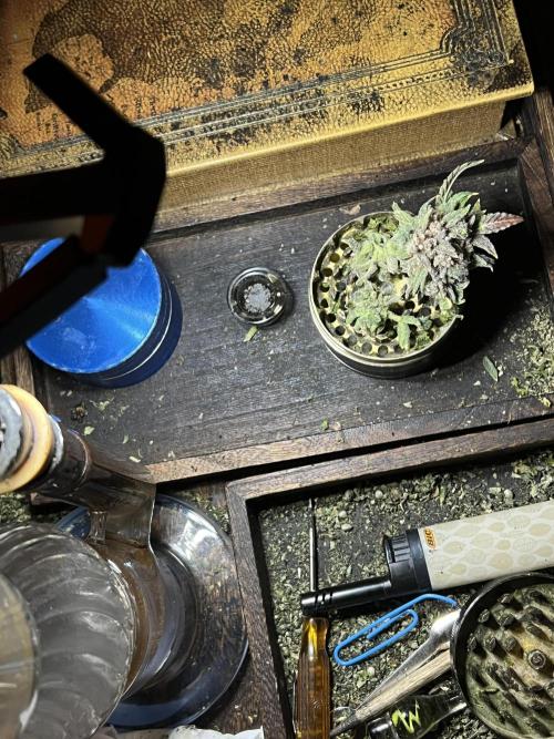 🍓🍰🤨🌿🍑🍪🍎. Week 25 - 11/22 12:53AM Cookie Apple, Stoned Genie 🧞‍♂️ Bong, wood tray, fake book storea