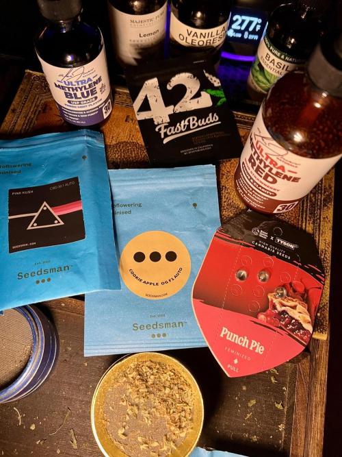 🎃🧛‍♂️😈💀🎃. Week 11 - 11/23 11:20 PM