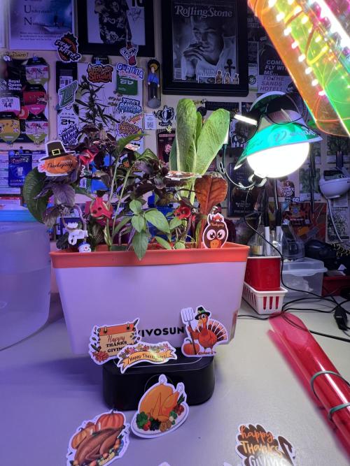 🎃🧛‍♂️😈💀🎃 '25. Week 12 - 11/27 22pm