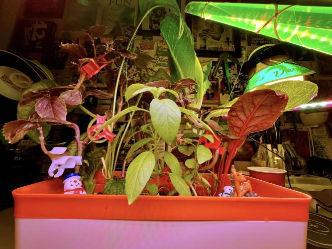 🎃🧛‍♂️😈💀🎃 '25. Week 12