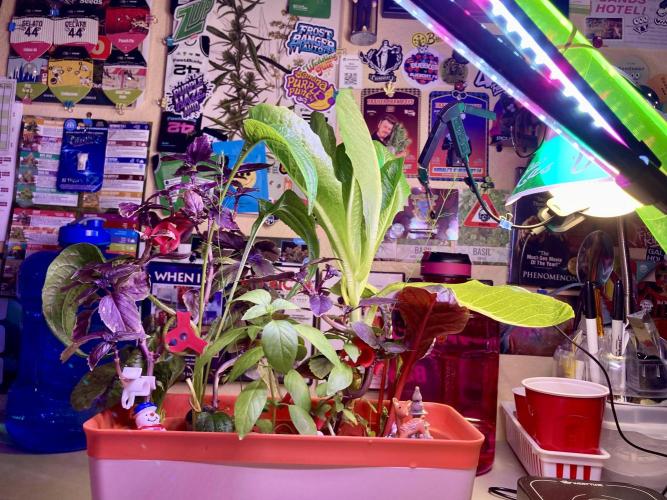 🎃🧛‍♂️😈💀🎃 '25. Week 13