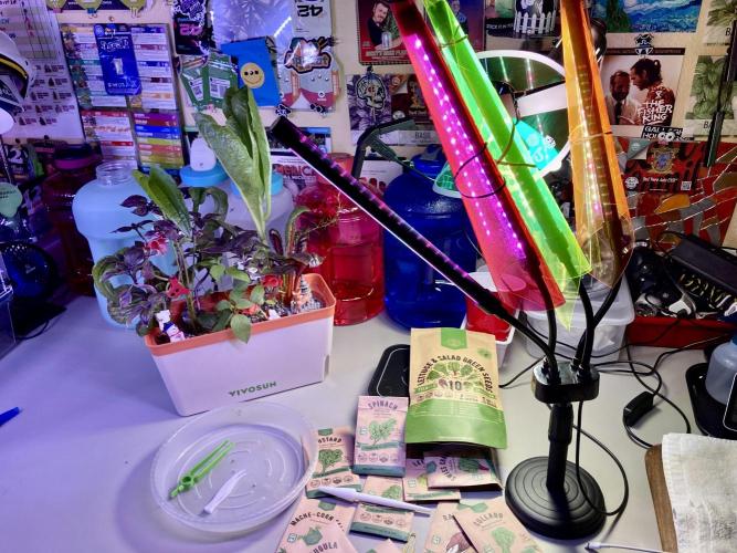 🎃🧛‍♂️😈💀🎃 '25. Week 13 - 12/3 11pm