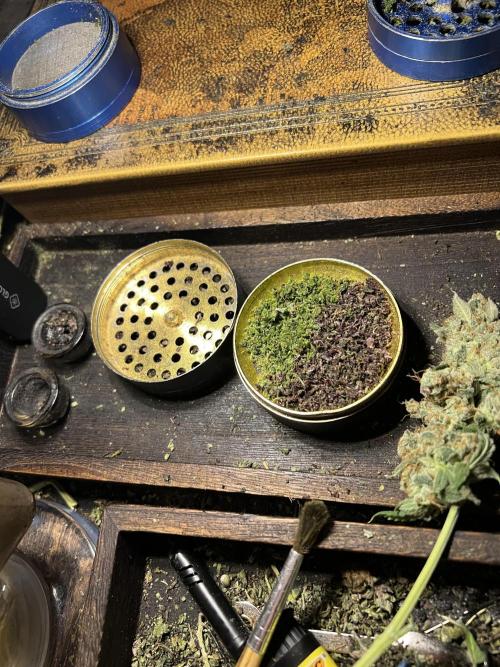 🎃🧛‍♂️😈💀🎃 '25. Week 13 - 12/6