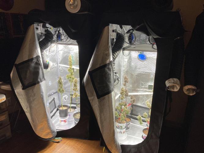 🎃🧛‍♂️😈💀🎃 '25. Week 13 - 12/6 12:51 AM