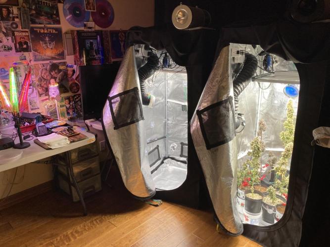 🎃🧛‍♂️😈💀🎃 '25. Week 13 - 12/6 12:51 AM