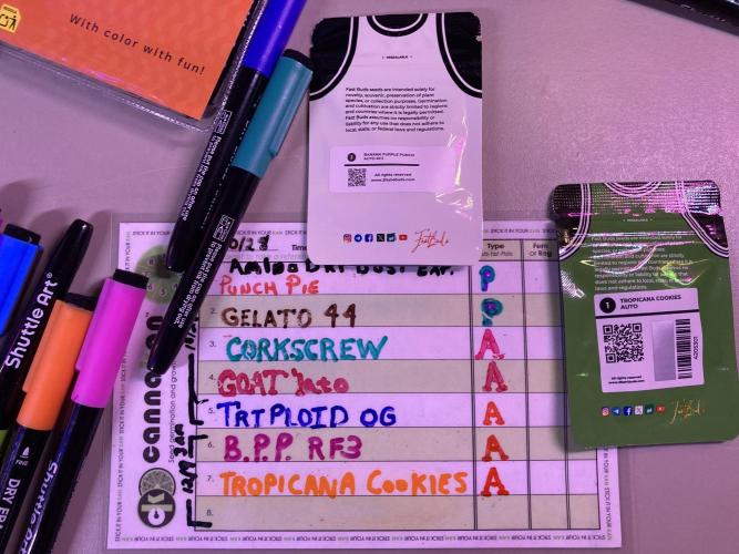 🥊🥧🍧🐐☕️🐓🔩🍌. Week 0 - 12/9 330am