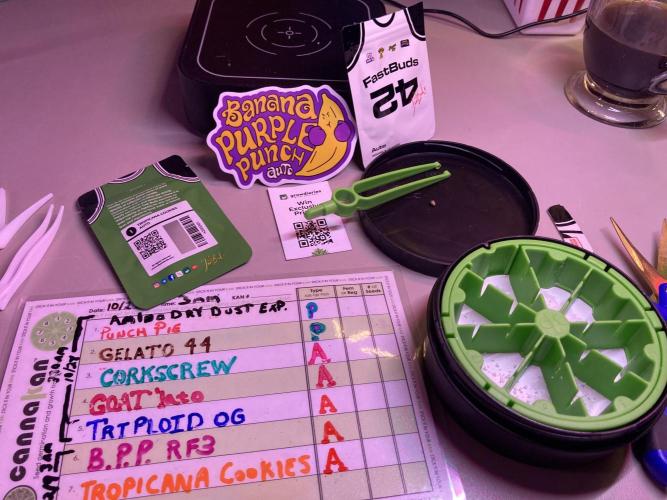 🥊🥧🍧🐐☕️🐓🔩🍌. Week 0