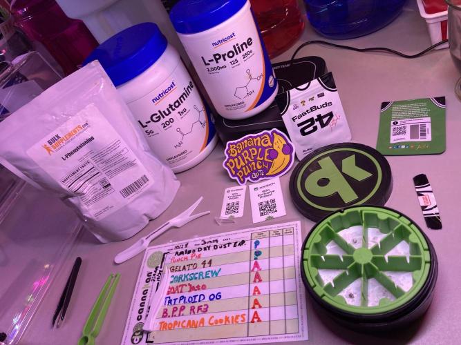 🥊🥧🍧🐐☕️🐓🔩🍌. Week 0 - 12/9 330AM