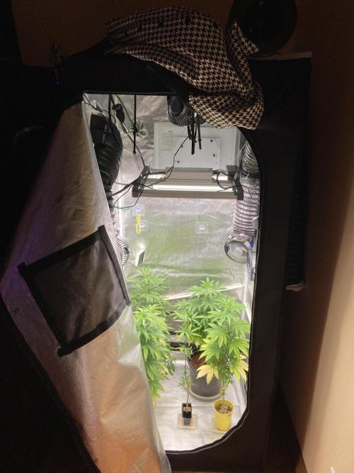 🎃🧛‍♂️😈💀🎃 '25. Week 14 - 12/9 7AM ALL PHOTOS MOVED TO TENT 1