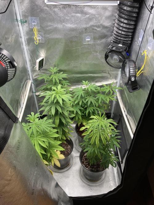 🎃🧛‍♂️😈💀🎃 '25. Week 14