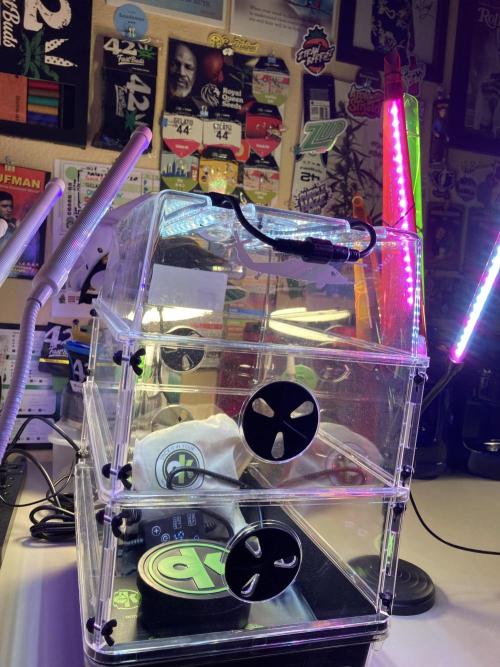 🥊🥧🍧🐐☕️🐓🔩🍌. Week 1 - 12/12 5:30 AM germination station