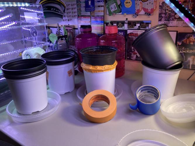 🥊🥧🍧🐐☕️🐓🔩🍌. Week 1 - 12/3 5 AM