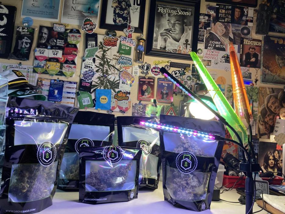 🎃🧛‍♂️😈💀🎃 '25. Week 15 - 12/15 3AM