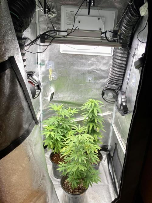 🎃🧛‍♂️😈💀🎃 '25. Week 15 - 12/15 3:01AM