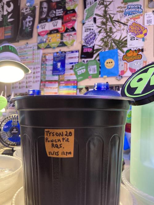 🥊🥧🍧🐐☕️🐓🔩🍌. Week 2