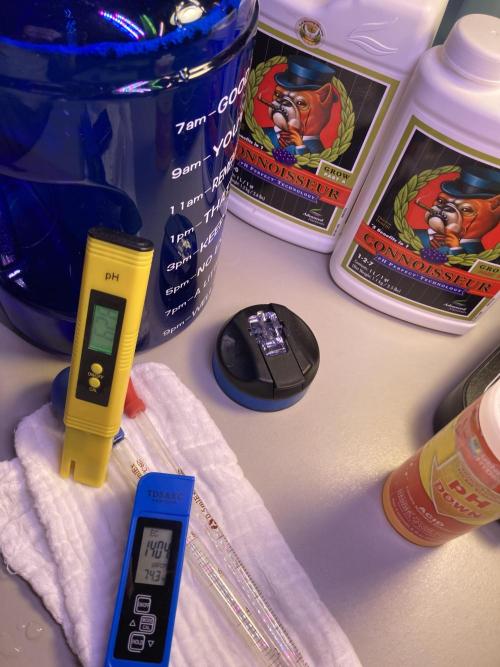 🎃🧛‍♂️😈💀🎃 '25. Week 15 - 12/16 5:30 AM