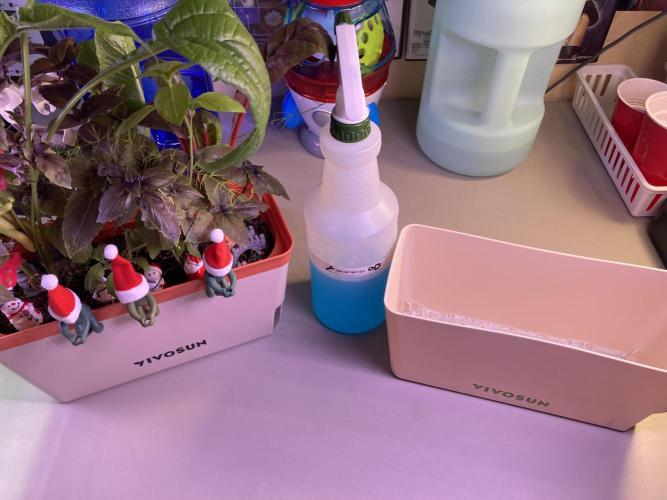 🥊🥧🍧🐐☕️🐓🔩🍌. Week 2