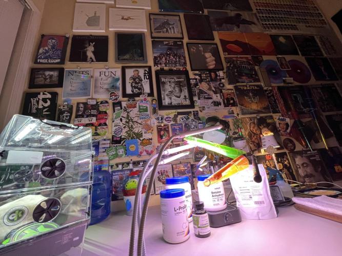 Montel tragic rise fall of Jar Jar Binks. Week 0 - 12/18 430am