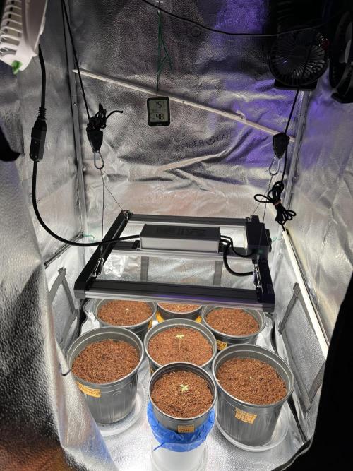 🥊🥧🍧🐐☕️🐓🔩🍌. Week 2