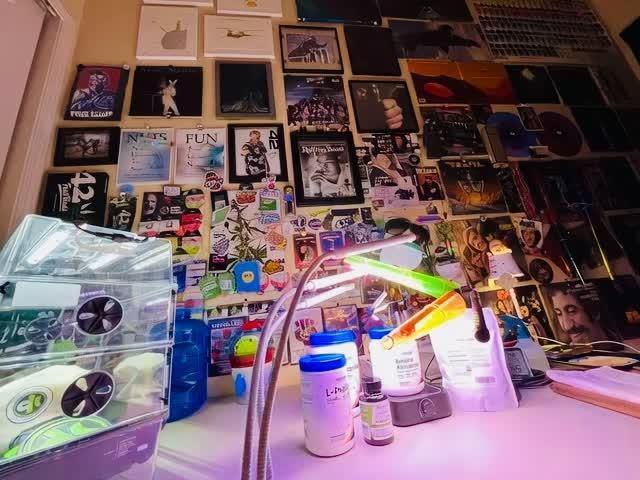 Montel tragic rise fall of Jar Jar Binks