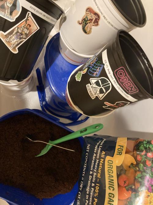 Montel tragic rise fall of Jar Jar Binks. Week 0 - 12/20 11:30 AM Cocoa prep and stickers