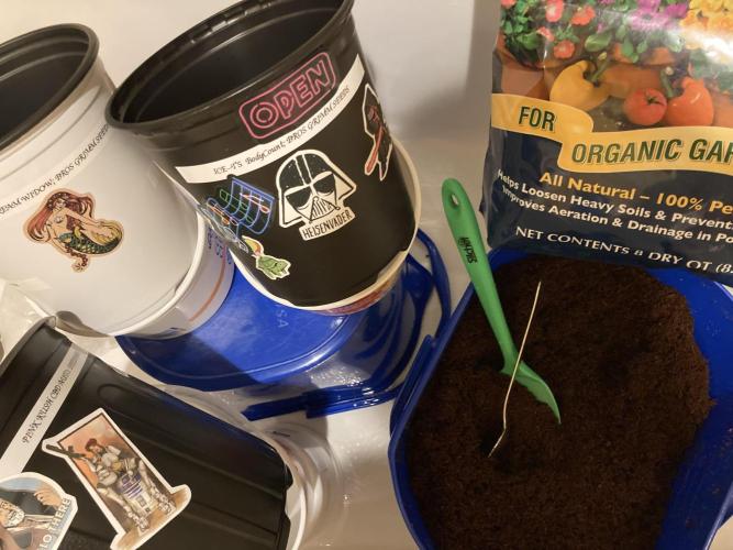 Montel tragic rise fall of Jar Jar Binks. Week 1 - 12/20 2:12 AM